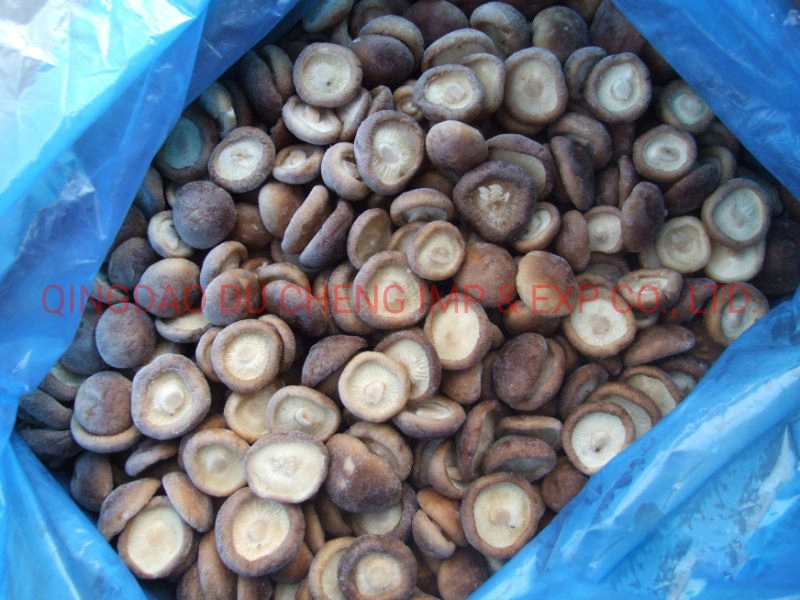 Fresh Organic Frozen Lentinus Edodes, Shiitake Mushroom with Wholesale Price