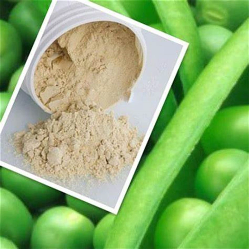CAS 222400-29-5 Private Label Organic Textured Plant Nutrients Pea Protein Powder