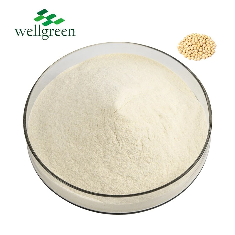 Herb Factory Hot Sale Pure Natural Soy Lecithin Organic Soya Soybean Lecithin Extract Powder