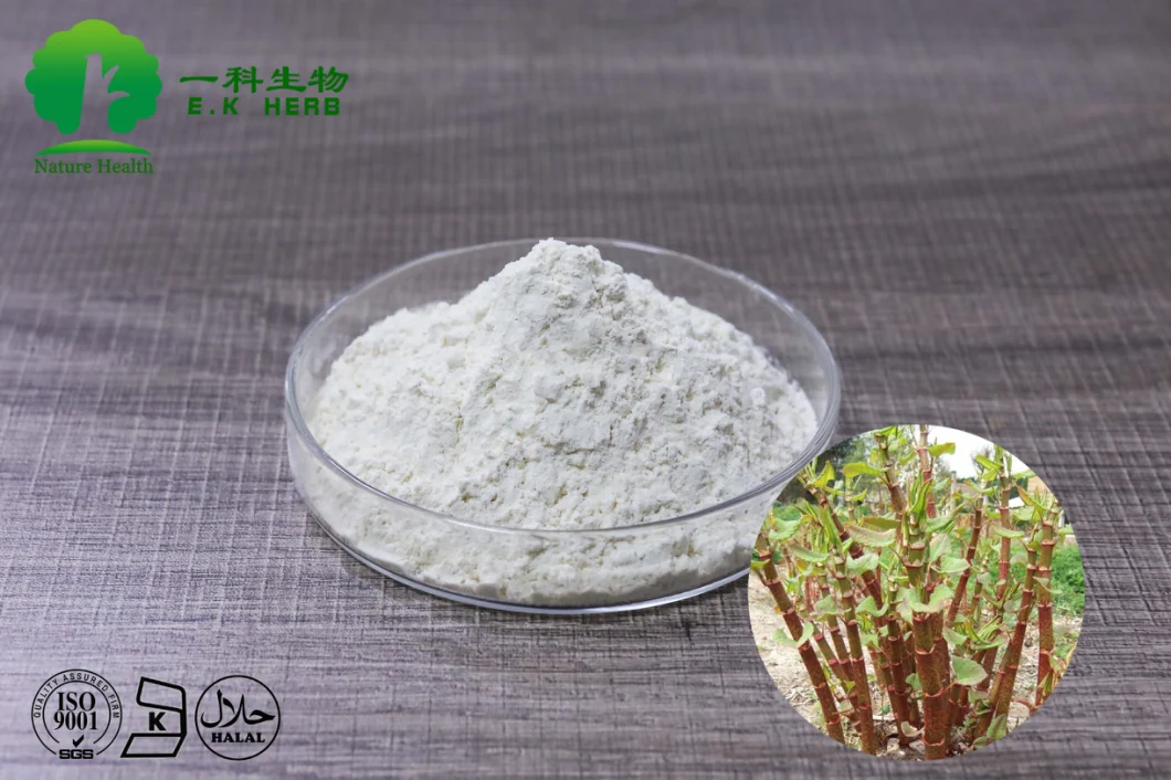 E. K Herb Pure Organic Anti-Aging Trans Resveratrol 50%-98% Bulk Powder From Giant Knotweed Extract