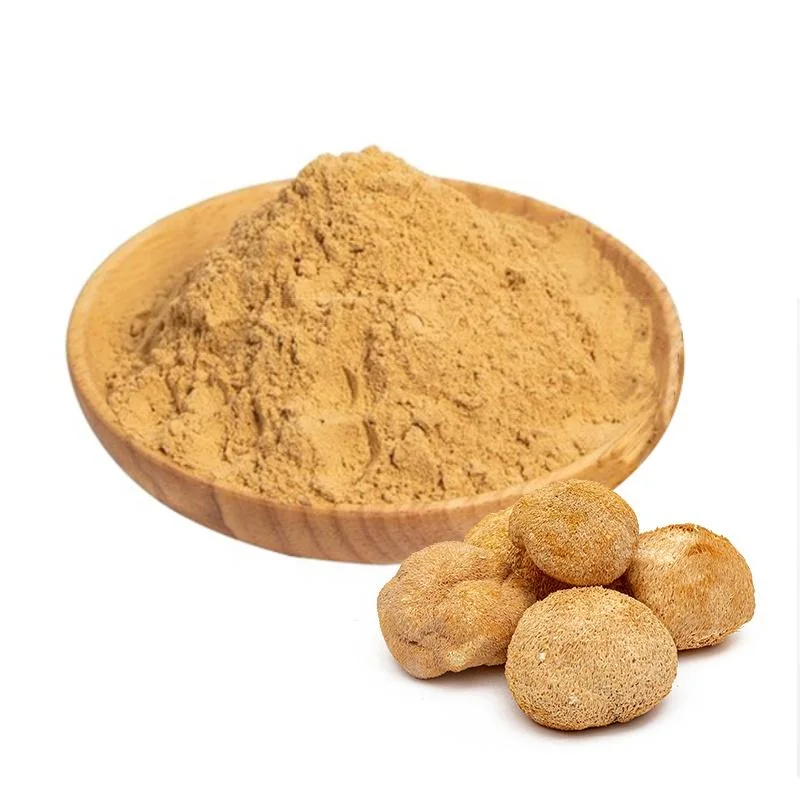 Chinese Herb Best Quality Organic 100 Natural Lions Mane Powder Hericium Erinaceus Dried Mushroom Powder
