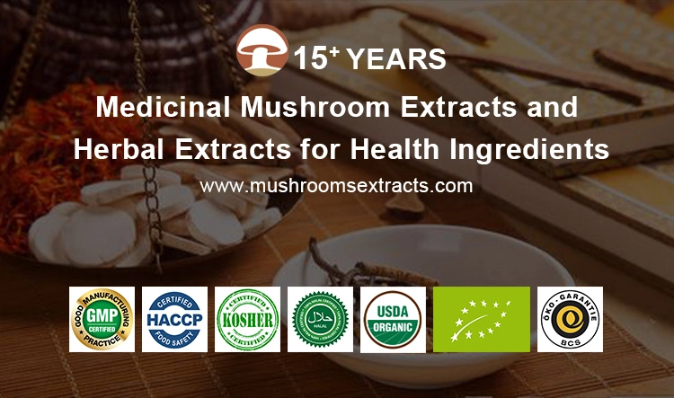 Organic Chaga Mushroom Extract Lion′s Mane Mushroom Reishi Mushroom Cordyceps Militaris Mushroom Blends