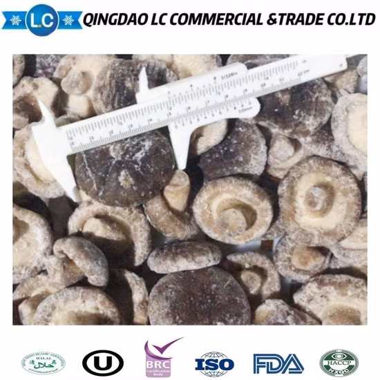Lentinus Edodes congelados orgánicos frescos, hongos Shiitake con precio mayorista