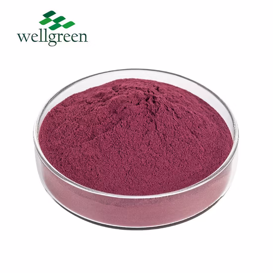 Polvo orgánico natural seco del extracto de la planta de la flor de Roselle del hibisco