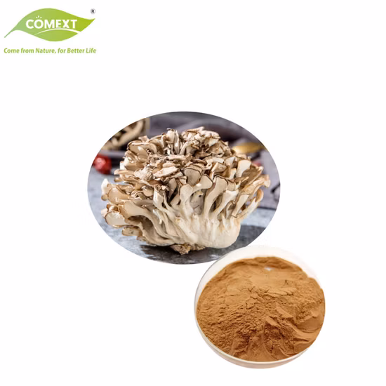 Extracto de Maitake en Polvo, Extracto de Grifola Frondosa en Polvo 4:1, Hongo Orgánico