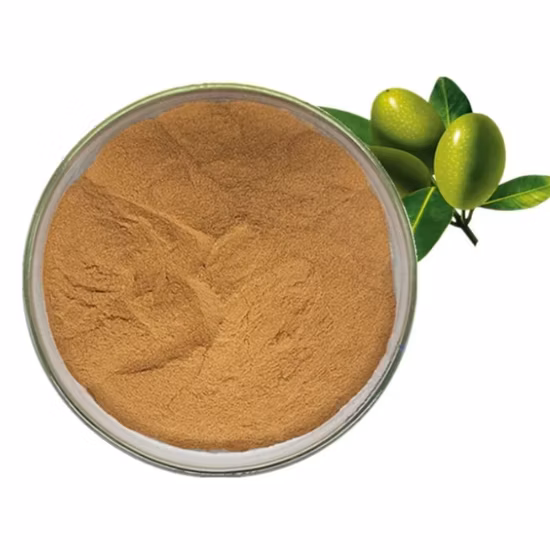 Precio de fábrica Extracto de hierbas orgánicas frescas a granel 10: 1 Polvo de extracto de flor de la pasión