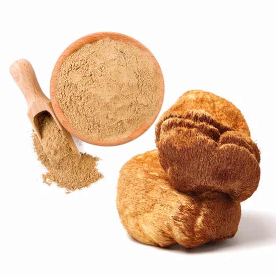 Yang Du Jun Venta al por mayor de productos alimenticios saludables naturales orgánicos Morel Mushroom