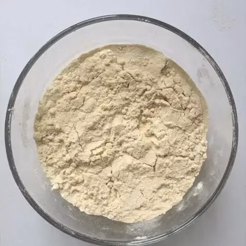 Proteína vegana Proteína de garbanzo Polvo aislado de proteína vegetal orgánica en polvo