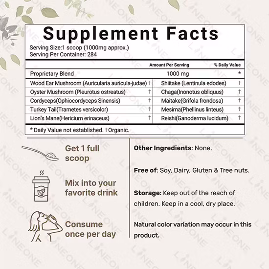 Extracto de hongo melena de león orgánico Extracto de hongo reishi Ganoderma Mezclas de hongo Cordyceps