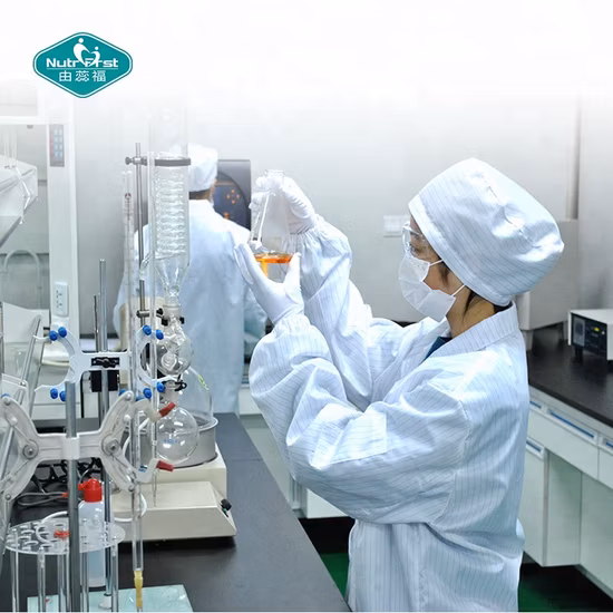 Extracto de planta de hongo melena de león orgánico Hericium Erinaceus Reishi Cordyceps Militaris polvo de hierbas de hongo